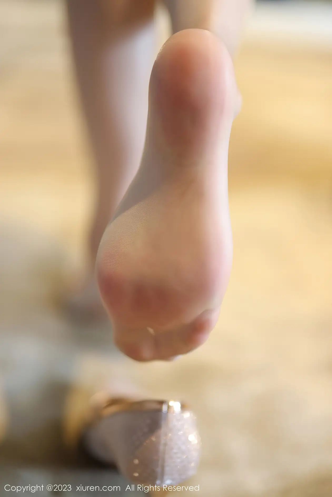 [秀人网] 2023.11.23 NO.7709 梦心玥#[89P]-5