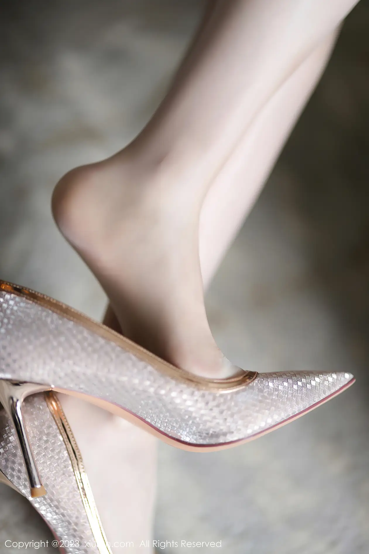 [秀人网] 2023.11.23 NO.7709 梦心玥#[89P]-9