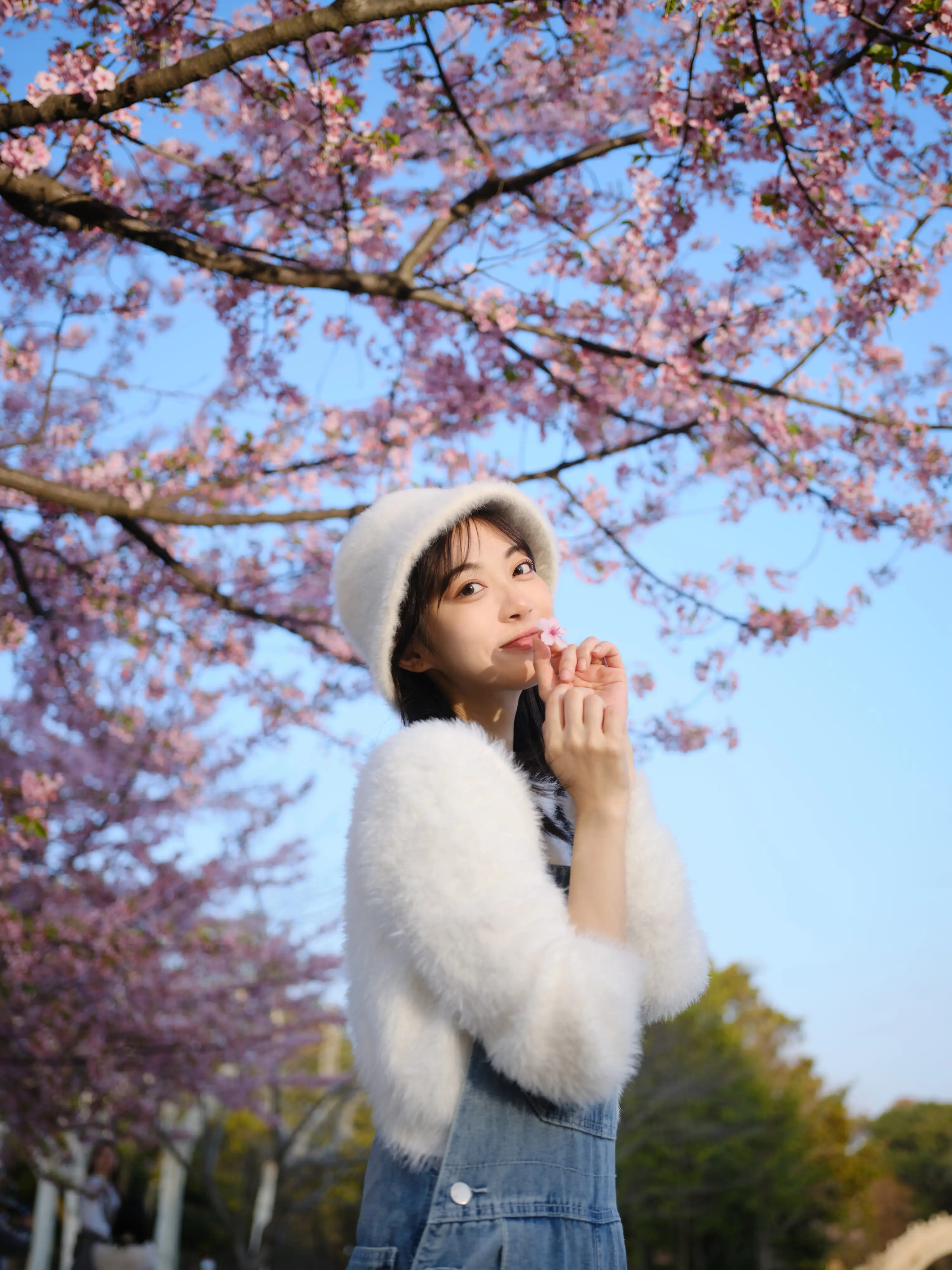 [艺图语] 2022.05.12 Vol.864 – 早樱 飞鸟咕咕-#[23P]-5